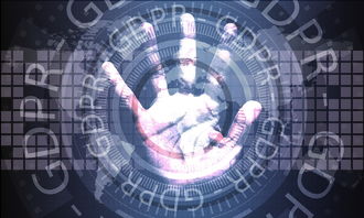 NBA联盟官方App用户体验优化路径研究，nba联盟最新消息